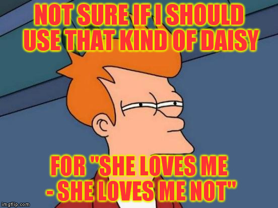 Futurama Fry Meme | NOT SURE IF I SHOULD USE THAT KIND OF DAISY FOR "SHE LOVES ME - SHE LOVES ME NOT" | image tagged in memes,futurama fry | made w/ Imgflip meme maker