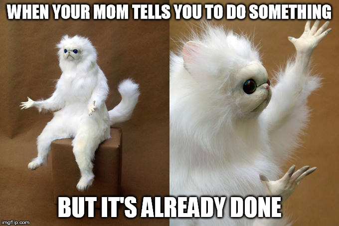Persian Cat Room Guardian Meme | WHEN YOUR MOM TELLS YOU TO DO SOMETHING; BUT IT'S ALREADY DONE | image tagged in memes,persian cat room guardian | made w/ Imgflip meme maker