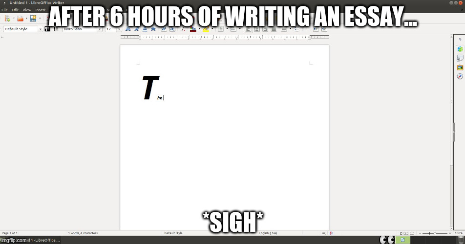 AFTER 6 HOURS OF WRITING AN ESSAY... *SIGH* | image tagged in after x hours of writing an essay | made w/ Imgflip meme maker