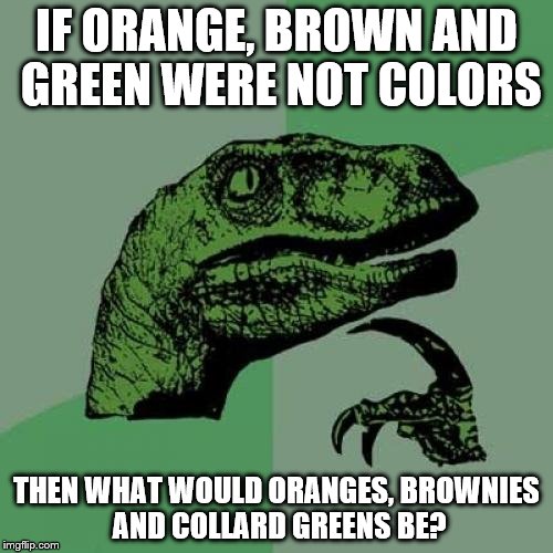 Philosoraptor Meme | IF ORANGE, BROWN AND GREEN WERE NOT COLORS; THEN WHAT WOULD ORANGES, BROWNIES AND COLLARD GREENS BE? | image tagged in memes,philosoraptor | made w/ Imgflip meme maker