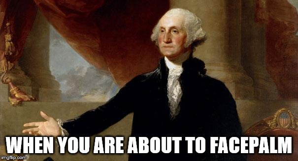 george washington | WHEN YOU ARE ABOUT TO FACEPALM | image tagged in george washington | made w/ Imgflip meme maker