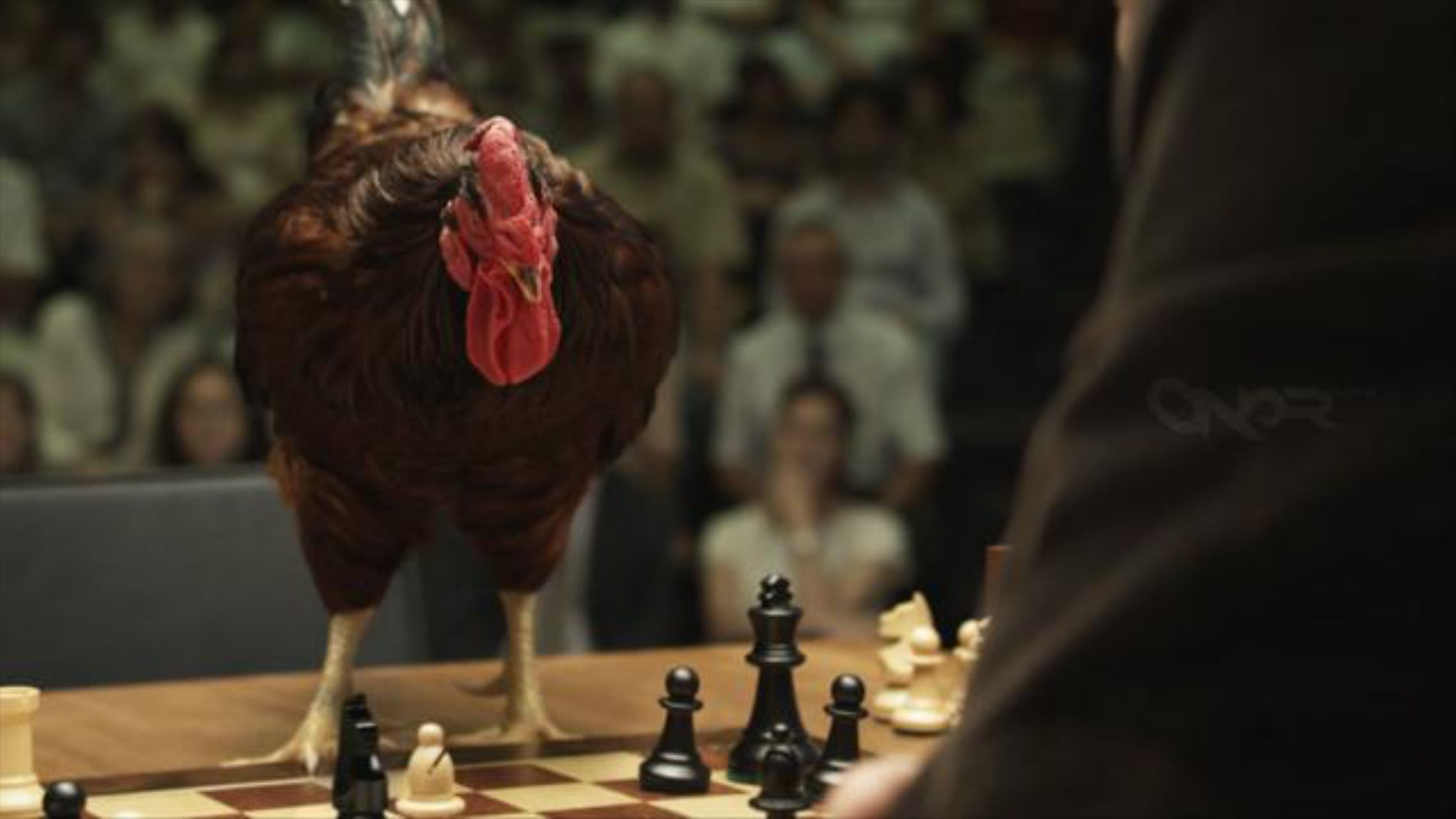 Chicken Chess Blank Meme Template