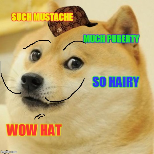 manly doge | SUCH MUSTACHE; MUCH PUBERTY; SO HAIRY; WOW HAT | image tagged in memes,doge,scumbag,puberty,mustache,eye brows | made w/ Imgflip meme maker