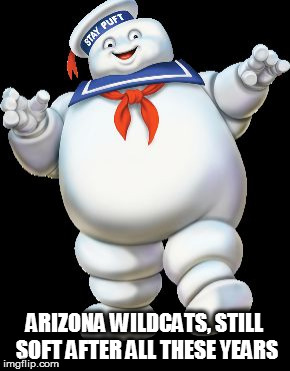 ARIZONA WILDCATS, STILL SOFT AFTER ALL THESE YEARS | image tagged in wildcat soft | made w/ Imgflip meme maker
