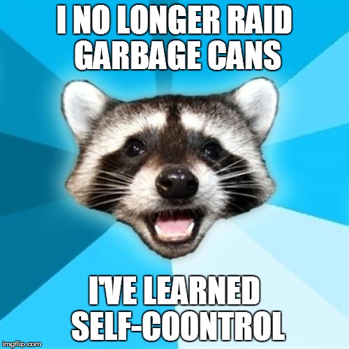 Lame Pun Coon | I NO LONGER RAID GARBAGE CANS; I'VE LEARNED SELF-COONTROL | image tagged in memes,lame pun coon | made w/ Imgflip meme maker