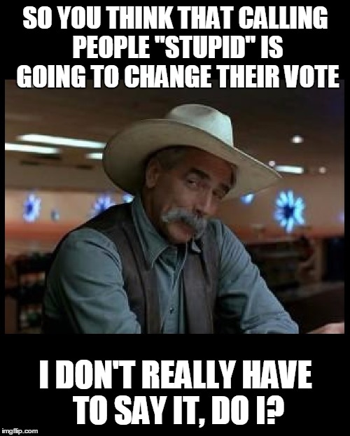 Special Kind of Stupid | SO YOU THINK THAT CALLING PEOPLE "STUPID" IS GOING TO CHANGE THEIR VOTE; I DON'T REALLY HAVE TO SAY IT, DO I? | image tagged in special kind of stupid | made w/ Imgflip meme maker