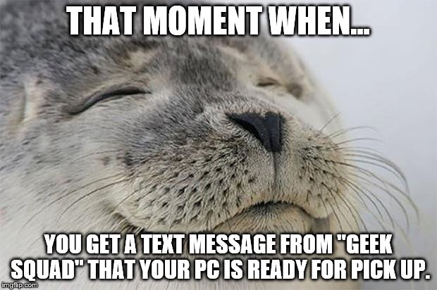 After 3 days without your PC. | THAT MOMENT WHEN... YOU GET A TEXT MESSAGE FROM "GEEK SQUAD" THAT YOUR PC IS READY FOR PICK UP. | image tagged in memes,satisfied seal | made w/ Imgflip meme maker