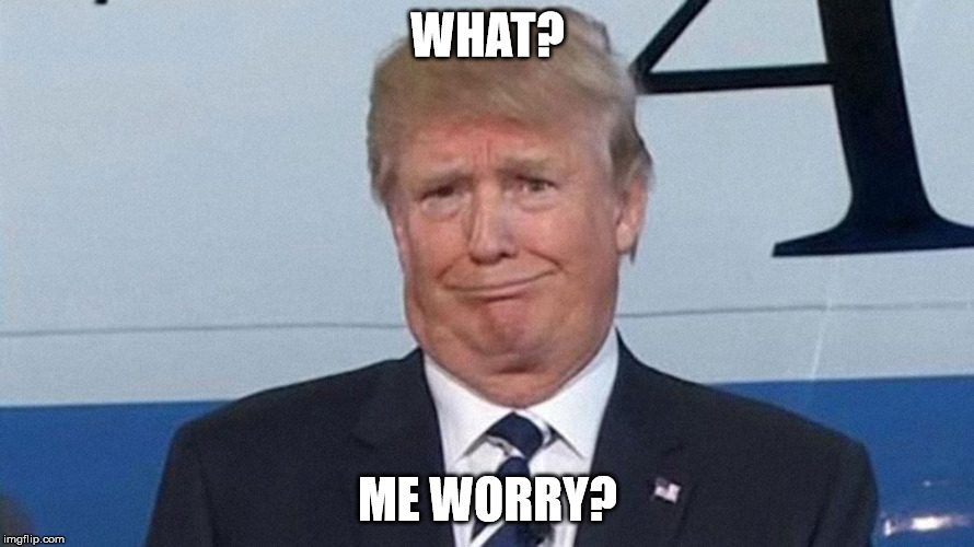 Little Donny | WHAT? ME WORRY? | image tagged in trump,potus,mad magazine | made w/ Imgflip meme maker