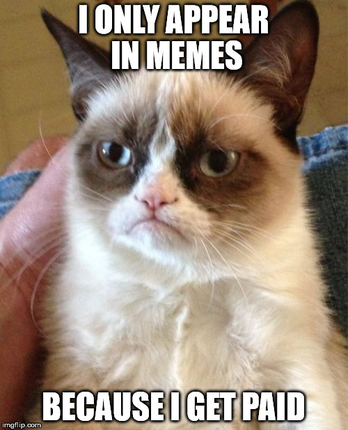 Grumpy Cat Meme | I ONLY APPEAR IN MEMES BECAUSE I GET PAID | image tagged in memes,grumpy cat | made w/ Imgflip meme maker