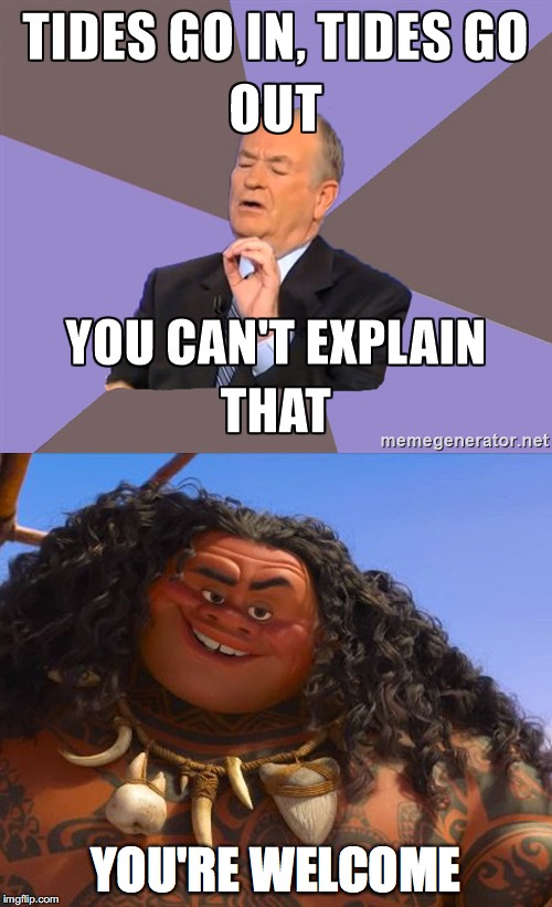 YOU'RE WELCOME | image tagged in bill o'reilly,you can't explain that,moana,you're welcome,fox news | made w/ Imgflip meme maker
