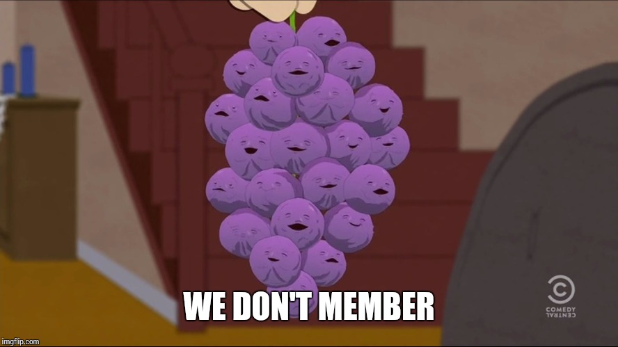 Member Berries Meme | WE DON'T MEMBER | image tagged in memes,member berries | made w/ Imgflip meme maker