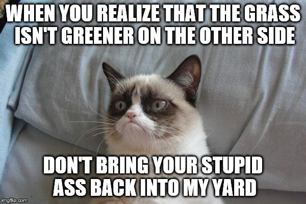 Grumpy Cat Bed Meme | WHEN YOU REALIZE THAT THE GRASS ISN'T GREENER ON THE OTHER SIDE; DON'T BRING YOUR STUPID ASS BACK INTO MY YARD | image tagged in memes,grumpy cat bed,grumpy cat | made w/ Imgflip meme maker