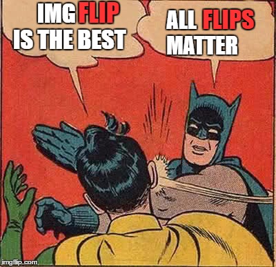 All Flips Are Created Equal | IMG      IS THE BEST; FLIP; ALL          MATTER; FLIPS | image tagged in memes,batman slapping robin | made w/ Imgflip meme maker