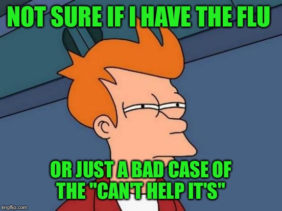 Futurama Fry | NOT SURE IF I HAVE THE FLU; OR JUST A BAD CASE OF THE "CAN'T HELP IT'S" | image tagged in memes,futurama fry | made w/ Imgflip meme maker