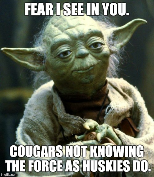 Star Wars Yoda | FEAR I SEE IN YOU. COUGARS NOT KNOWING THE FORCE AS HUSKIES DO. | image tagged in memes,star wars yoda | made w/ Imgflip meme maker