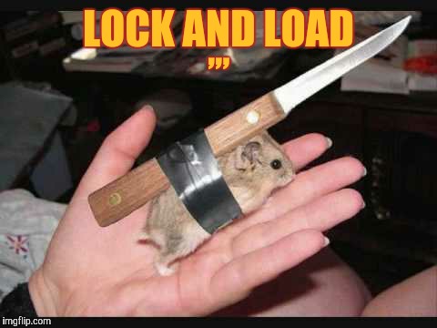 Lock and Load Hamster,,, | LOCK AND LOAD; ,,, | image tagged in original meme,funny memes,meme | made w/ Imgflip meme maker