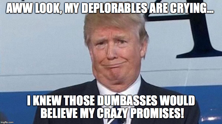 My Deplorables Are Crying | AWW LOOK, MY DEPLORABLES ARE CRYING... I KNEW THOSE DUMBASSES WOULD BELIEVE MY CRAZY PROMISES! | image tagged in donald trump,basket of deplorables,bob crespo,bobcrespodotcom | made w/ Imgflip meme maker