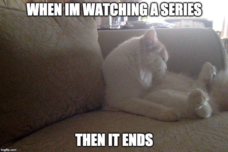 WHEN IM WATCHING A SERIES; THEN IT ENDS | image tagged in cats | made w/ Imgflip meme maker