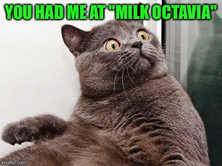 Surprised Cat | YOU HAD ME AT "MILK OCTAVIA" | image tagged in surprised cat | made w/ Imgflip meme maker