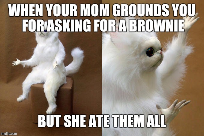 Persian Cat Room Guardian Meme | WHEN YOUR MOM GROUNDS YOU FOR ASKING FOR A BROWNIE; BUT SHE ATE THEM ALL | image tagged in memes,persian cat room guardian | made w/ Imgflip meme maker