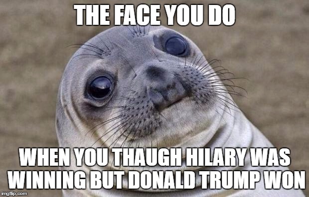 THE FACE YOU DO WHEN YOU THAUGH HILARY WAS WINNING BUT DONALD TRUMP WON | image tagged in memes,awkward moment sealion | made w/ Imgflip meme maker