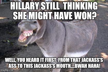 donkeysmile | HILLARY STILL  THINKING SHE MIGHT HAVE WON? WELL, YOU HEARD IT FIRST, FROM THAT JACKASS'S ASS TO THIS JACKASS'S MOUTH....BWAH HAHA! | image tagged in donkeysmile | made w/ Imgflip meme maker