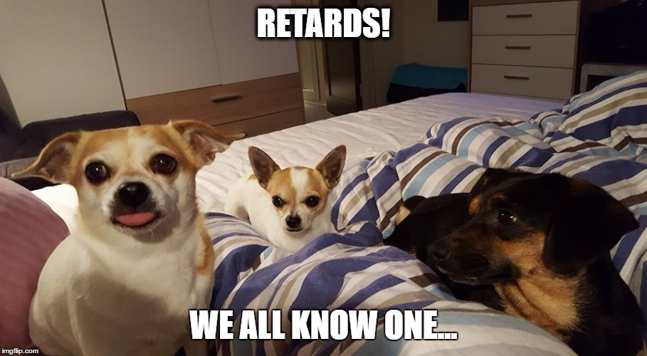 RETARDS! WE ALL KNOW ONE... | image tagged in doggie,retard | made w/ Imgflip meme maker