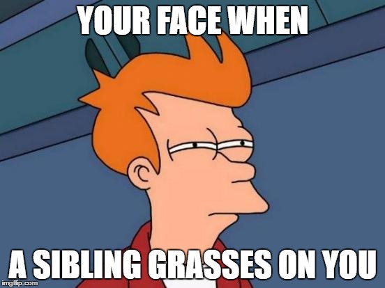 Futurama Fry | YOUR FACE WHEN; A SIBLING GRASSES ON YOU | image tagged in memes,futurama fry | made w/ Imgflip meme maker