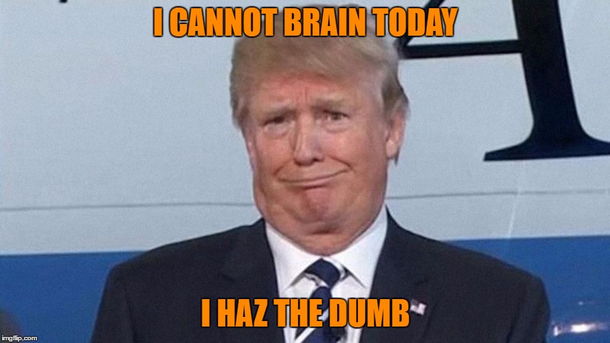 Trump haz the dumb | I CANNOT BRAIN TODAY; I HAZ THE DUMB | image tagged in trump,dumb,cheetos,meme | made w/ Imgflip meme maker