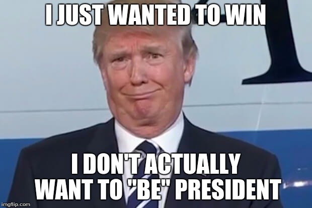 donald trump |  I JUST WANTED TO WIN; I DON'T ACTUALLY WANT TO "BE" PRESIDENT | image tagged in donald trump | made w/ Imgflip meme maker