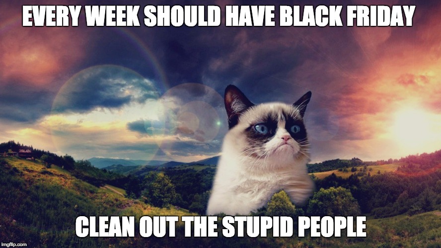 motivational grumpy cat | EVERY WEEK SHOULD HAVE BLACK FRIDAY; CLEAN OUT THE STUPID PEOPLE | image tagged in motivational grumpy cat | made w/ Imgflip meme maker
