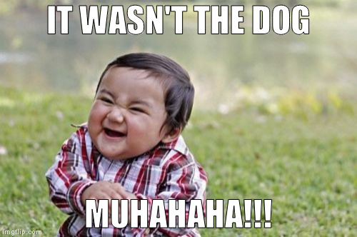 Evil Toddler Meme | IT WASN'T THE DOG; MUHAHAHA!!! | image tagged in memes,evil toddler | made w/ Imgflip meme maker