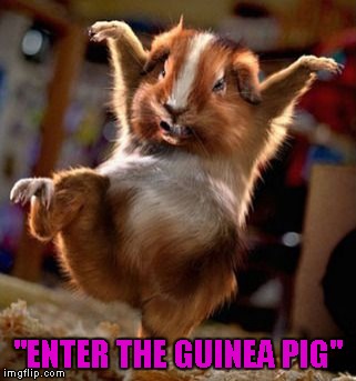 "ENTER THE GUINEA PIG" | made w/ Imgflip meme maker