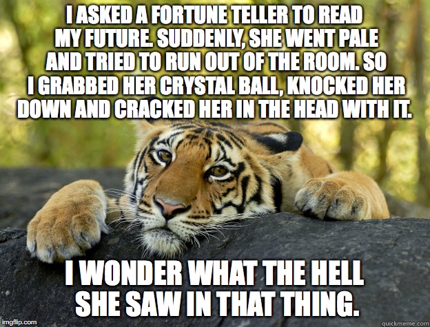 terrible tiger | I ASKED A FORTUNE TELLER TO READ MY FUTURE. SUDDENLY, SHE WENT PALE AND TRIED TO RUN OUT OF THE ROOM. SO I GRABBED HER CRYSTAL BALL, KNOCKED HER DOWN AND CRACKED HER IN THE HEAD WITH IT. I WONDER WHAT THE HELL SHE SAW IN THAT THING. | image tagged in terrible tiger,fortune teller | made w/ Imgflip meme maker