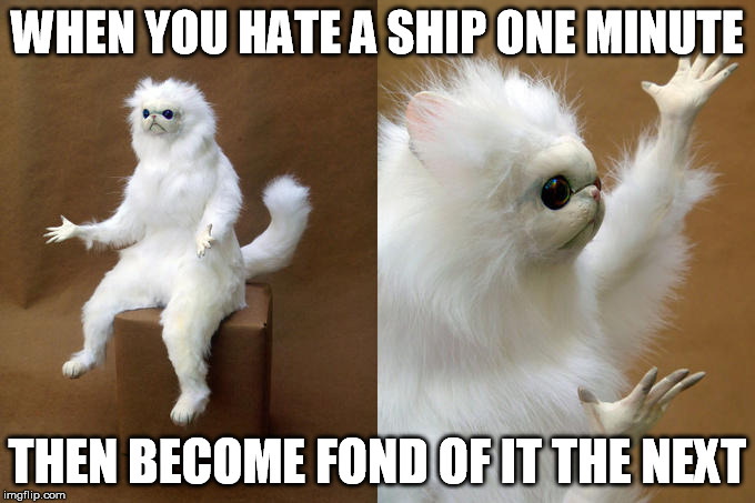 This was made TOO DAMN LONG AGO! | WHEN YOU HATE A SHIP ONE MINUTE; THEN BECOME FOND OF IT THE NEXT | image tagged in memes,persian cat room guardian,shipping | made w/ Imgflip meme maker