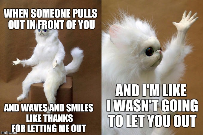 Persian Cat Room Guardian | WHEN SOMEONE PULLS OUT IN FRONT OF YOU; AND I'M LIKE I WASN'T GOING TO LET YOU OUT; AND WAVES AND SMILES LIKE THANKS FOR LETTING ME OUT | image tagged in memes,persian cat room guardian | made w/ Imgflip meme maker