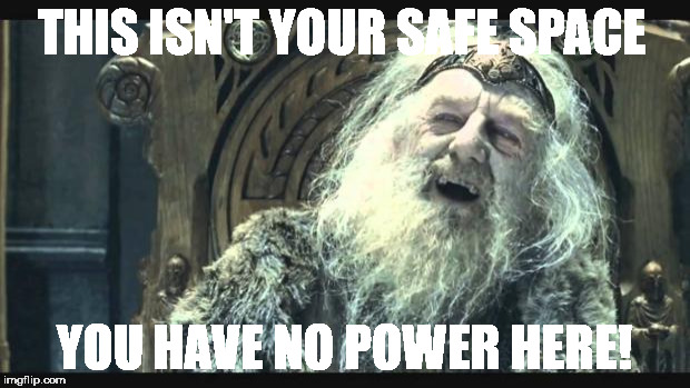 You have no power here | THIS ISN'T YOUR SAFE SPACE; YOU HAVE NO POWER HERE! | image tagged in you have no power here | made w/ Imgflip meme maker