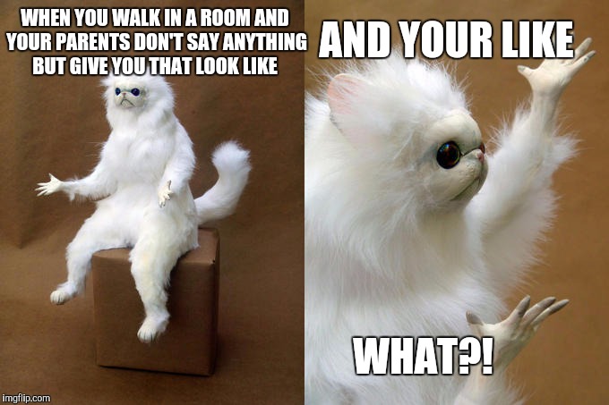 When you're parents give you that look  | AND YOUR LIKE; WHEN YOU WALK IN A ROOM AND YOUR PARENTS DON'T SAY ANYTHING BUT GIVE YOU THAT LOOK LIKE; WHAT?! | image tagged in memes,persian cat room guardian | made w/ Imgflip meme maker