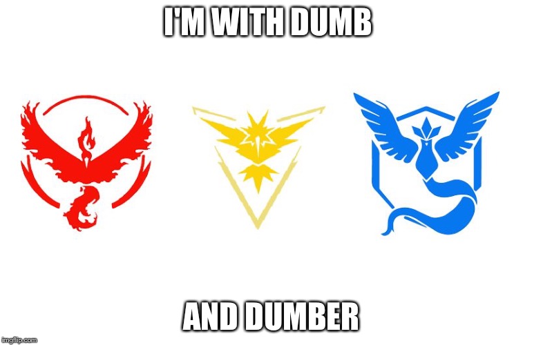 Pokemon GO Teams | I'M WITH DUMB; AND DUMBER | image tagged in pokemon go teams | made w/ Imgflip meme maker