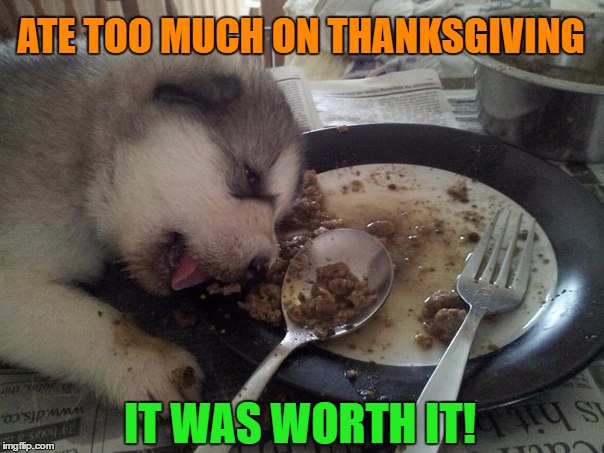 Ate too much .. | ATE TOO MUCH ON THANKSGIVING; IT WAS WORTH IT! | image tagged in dog too much food,memes,funny,funny memes,thanksgiving,dog | made w/ Imgflip meme maker