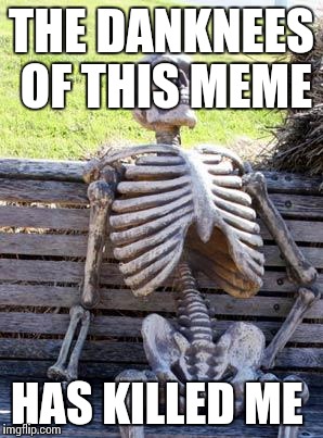 Waiting Skeleton Meme | THE DANKNEES OF THIS MEME; HAS KILLED ME | image tagged in memes,waiting skeleton | made w/ Imgflip meme maker