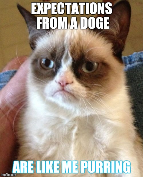 Grumpy Cat Meme | EXPECTATIONS FROM A DOGE; ARE LIKE ME PURRING | image tagged in memes,grumpy cat | made w/ Imgflip meme maker