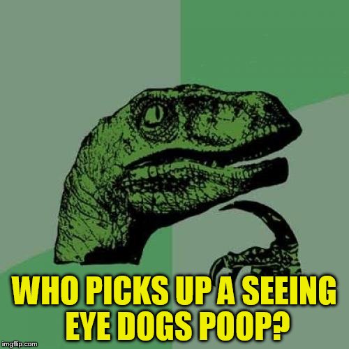 Philosoraptor | WHO PICKS UP A SEEING EYE DOGS POOP? | image tagged in memes,philosoraptor | made w/ Imgflip meme maker