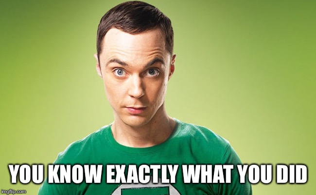 Sheldon - Really | YOU KNOW EXACTLY WHAT YOU DID | image tagged in sheldon - really | made w/ Imgflip meme maker