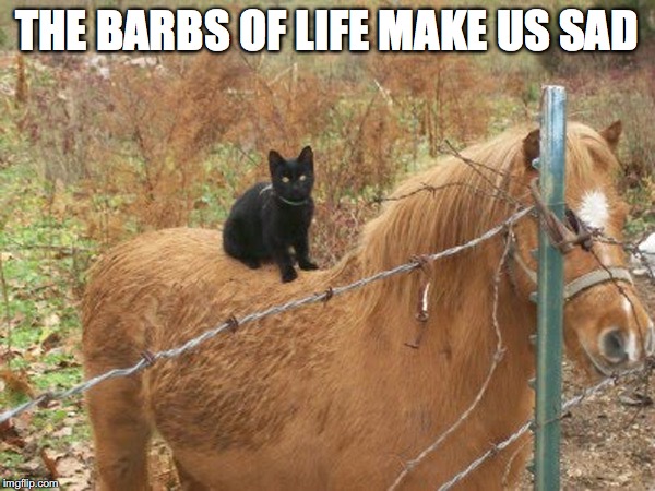 THE BARBS OF LIFE MAKE US SAD | made w/ Imgflip meme maker