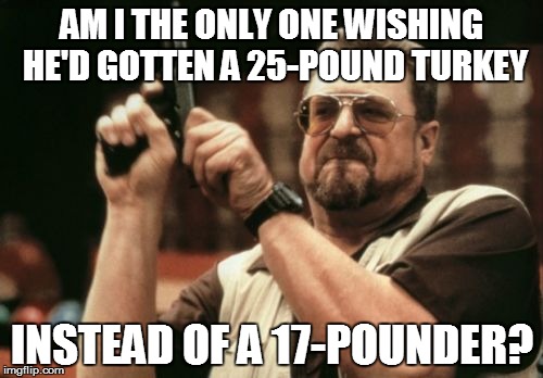 So many leftovers recipes....
so few leftovers | AM I THE ONLY ONE WISHING HE'D GOTTEN A 25-POUND TURKEY; INSTEAD OF A 17-POUNDER? | image tagged in am i the only one around here | made w/ Imgflip meme maker