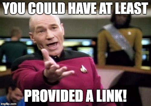 Picard Wtf Meme | YOU COULD HAVE AT LEAST PROVIDED A LINK! | image tagged in memes,picard wtf | made w/ Imgflip meme maker