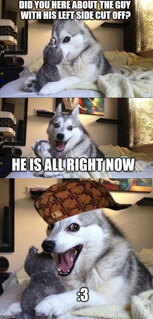 Bad Pun Dog | DID YOU HERE ABOUT THE GUY WITH HIS LEFT SIDE CUT OFF? HE IS ALL RIGHT NOW; :3 | image tagged in memes,bad pun dog,scumbag | made w/ Imgflip meme maker