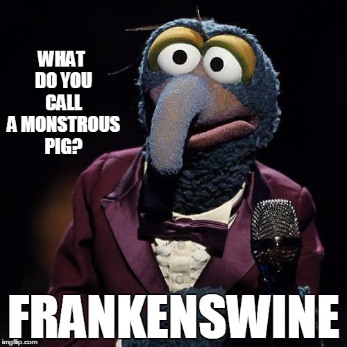 Gonzo Talks | WHAT DO YOU CALL A MONSTROUS PIG? FRANKENSWINE | image tagged in gonzo talks,stand up | made w/ Imgflip meme maker