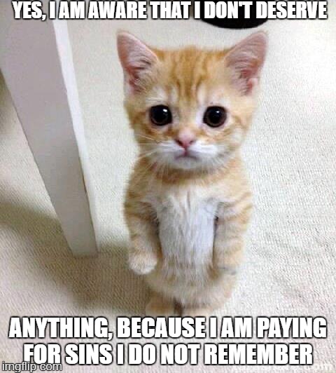 Cute Cat Meme | YES, I AM AWARE THAT I DON'T DESERVE; ANYTHING, BECAUSE I AM PAYING FOR SINS I DO NOT REMEMBER | image tagged in memes,cute cat | made w/ Imgflip meme maker